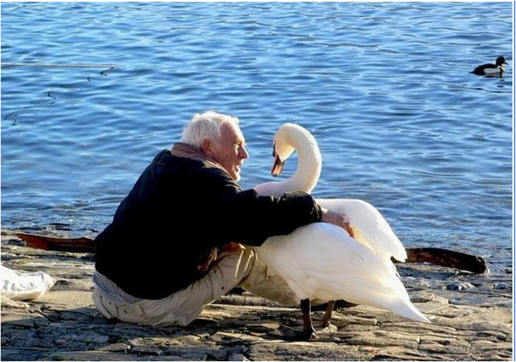 ÐаÑÑинки по запÑоÑÑ Ð´Ð¾Ð±ÑоÑа каÑÑинки