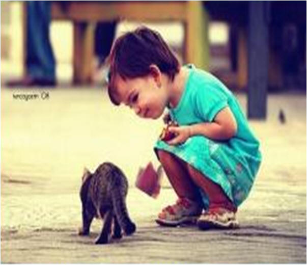 Как вы понимаете это высказывание?